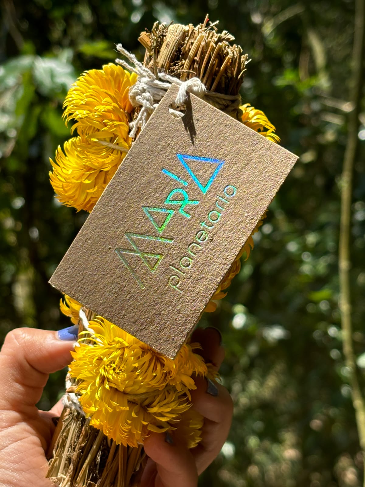 ATADO DE ABUNDANCIA 🌼 - Imagen 2